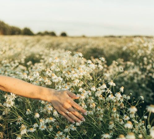 beneficios del mindfulness